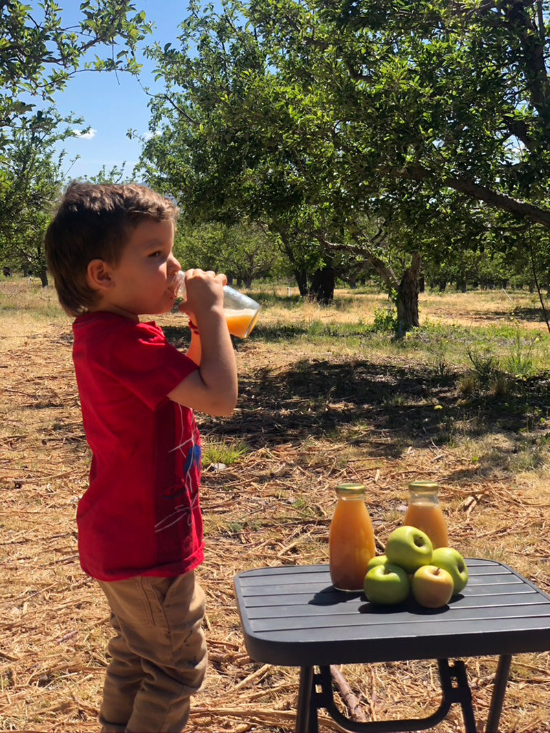 Jugo de manzana artesanal sin azucares , sin saborizantes !